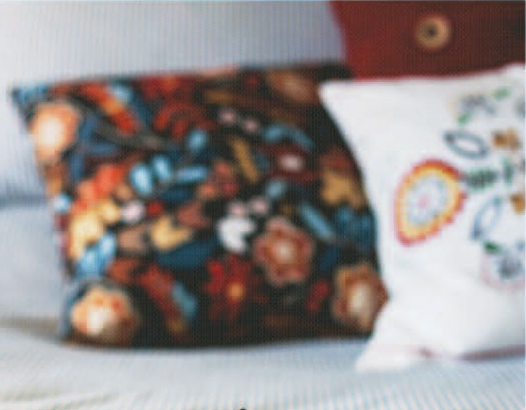 Cutting-Edge Help for Knee Injuries and Poor Vision - Home & Lifestyle Magazine