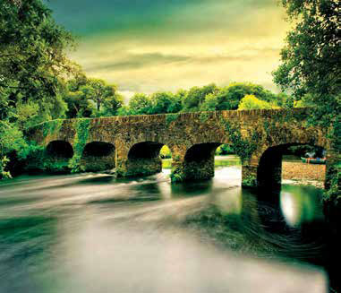 Bridging history with serene structures